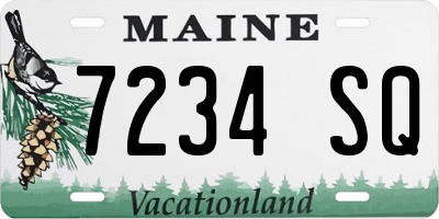 ME license plate 7234SQ