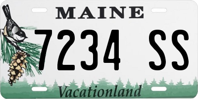 ME license plate 7234SS