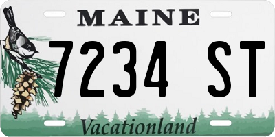 ME license plate 7234ST
