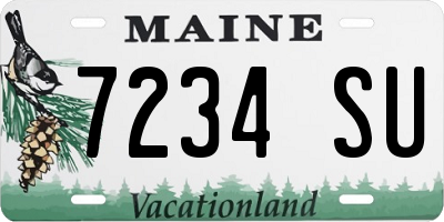 ME license plate 7234SU