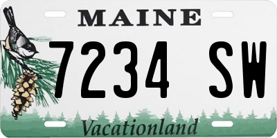ME license plate 7234SW