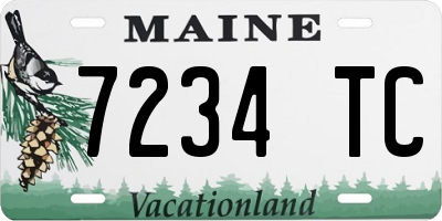 ME license plate 7234TC