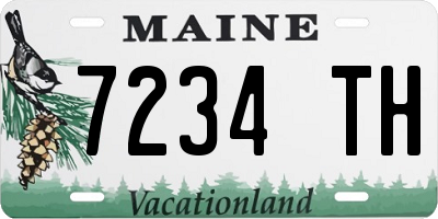 ME license plate 7234TH