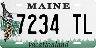 ME license plate 7234TL