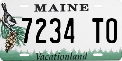 ME license plate 7234TO