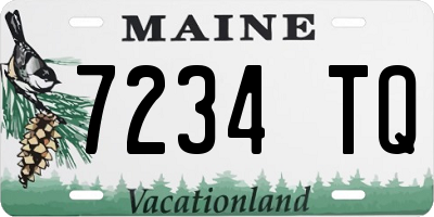 ME license plate 7234TQ