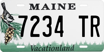 ME license plate 7234TR