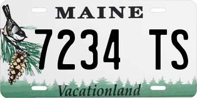 ME license plate 7234TS