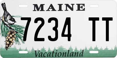 ME license plate 7234TT