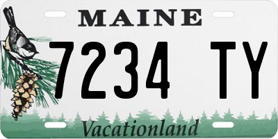 ME license plate 7234TY