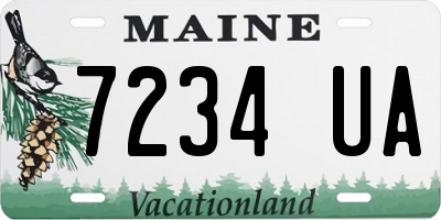 ME license plate 7234UA