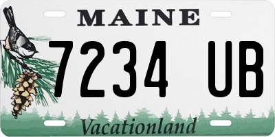 ME license plate 7234UB