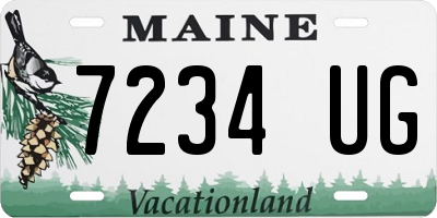 ME license plate 7234UG