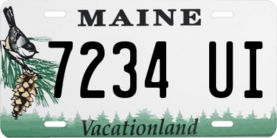 ME license plate 7234UI