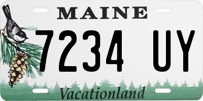 ME license plate 7234UY