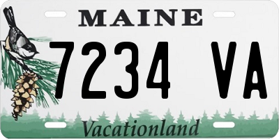 ME license plate 7234VA