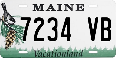 ME license plate 7234VB