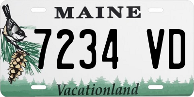 ME license plate 7234VD