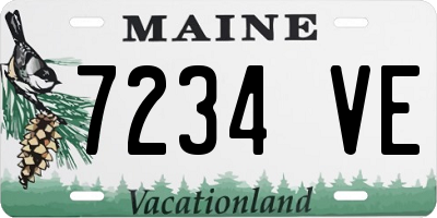 ME license plate 7234VE