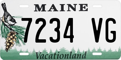 ME license plate 7234VG