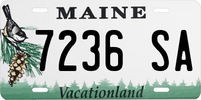 ME license plate 7236SA