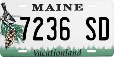ME license plate 7236SD