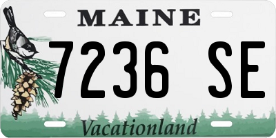 ME license plate 7236SE