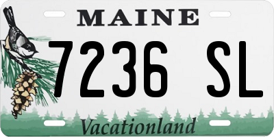 ME license plate 7236SL