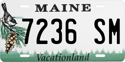 ME license plate 7236SM