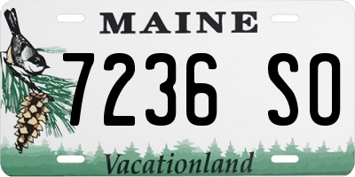 ME license plate 7236SO