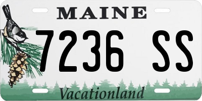 ME license plate 7236SS