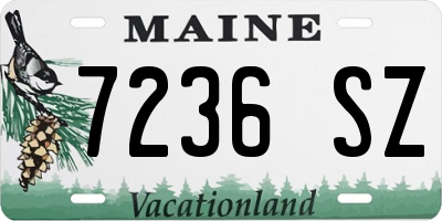 ME license plate 7236SZ