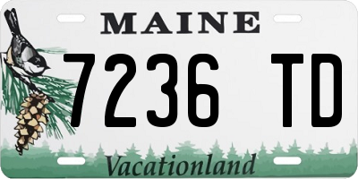 ME license plate 7236TD