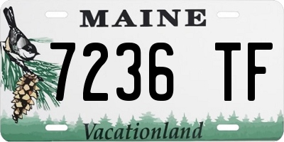 ME license plate 7236TF