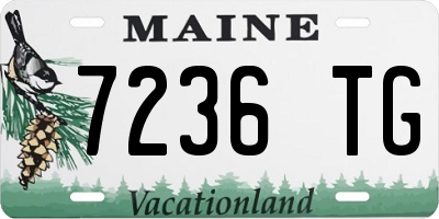 ME license plate 7236TG