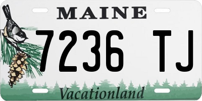 ME license plate 7236TJ