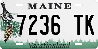 ME license plate 7236TK