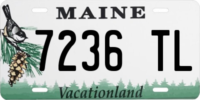 ME license plate 7236TL