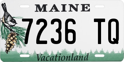 ME license plate 7236TQ