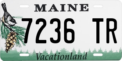 ME license plate 7236TR