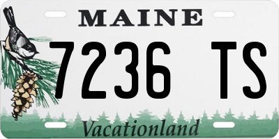 ME license plate 7236TS