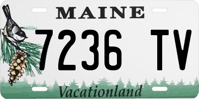 ME license plate 7236TV