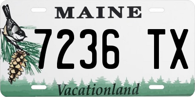 ME license plate 7236TX