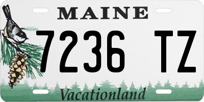 ME license plate 7236TZ