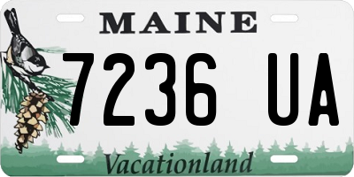 ME license plate 7236UA