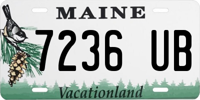 ME license plate 7236UB