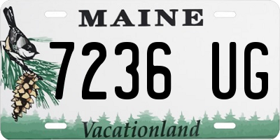 ME license plate 7236UG