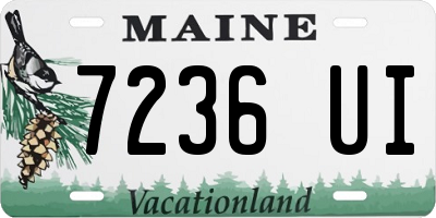 ME license plate 7236UI
