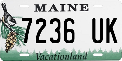 ME license plate 7236UK