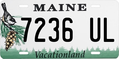 ME license plate 7236UL